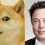 Elon Musk, el meme del perro ‘Doge’ y el recorte de la Administración